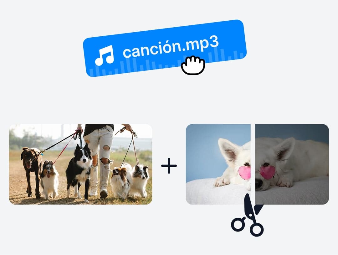 Colección de imágenes que muestran diferentes videos de stock